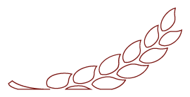 link-biofattoria-home-cooperativa-agricola-nuovo-cilento