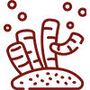 icona-aree-marine-protette-territorio-nuovo-cilento.png