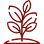 icona-ettari-di-terra-timeline-chi-siamo-nuovo-cilento.png