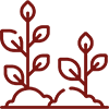icona-piante-classificate-territorio-nuovo-cilento.png