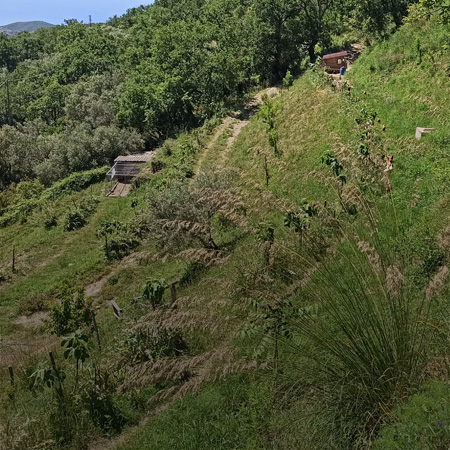 anteprima-gennaio-mese-dell-acqua-cooperativa-agricola-nuovo-cilento.jpg