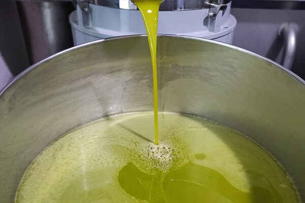 olio evo