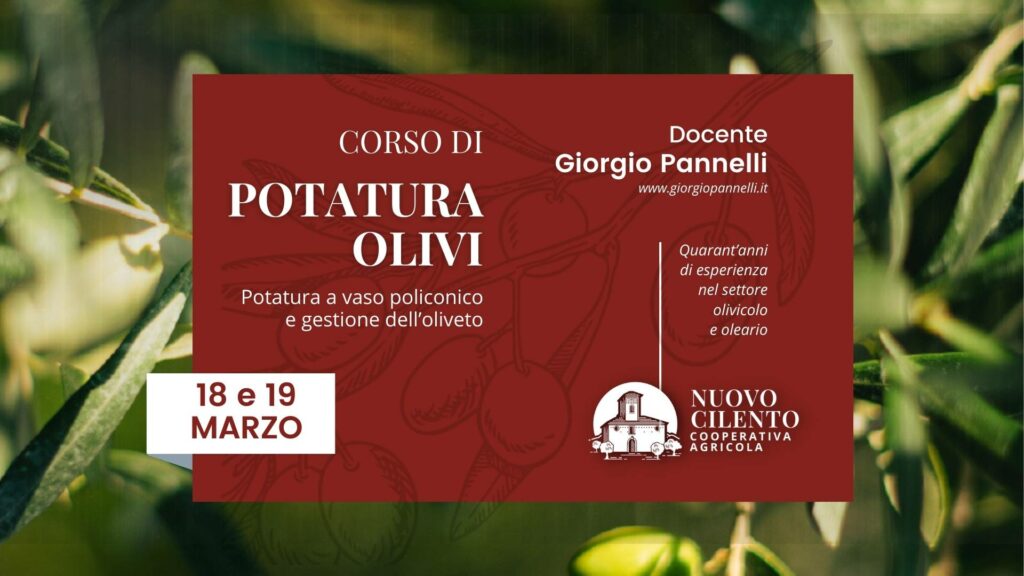 corso potatura olivo 2024