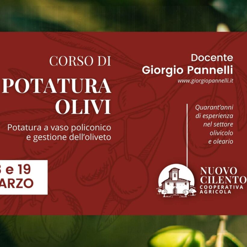 corso potatura olivo 2024