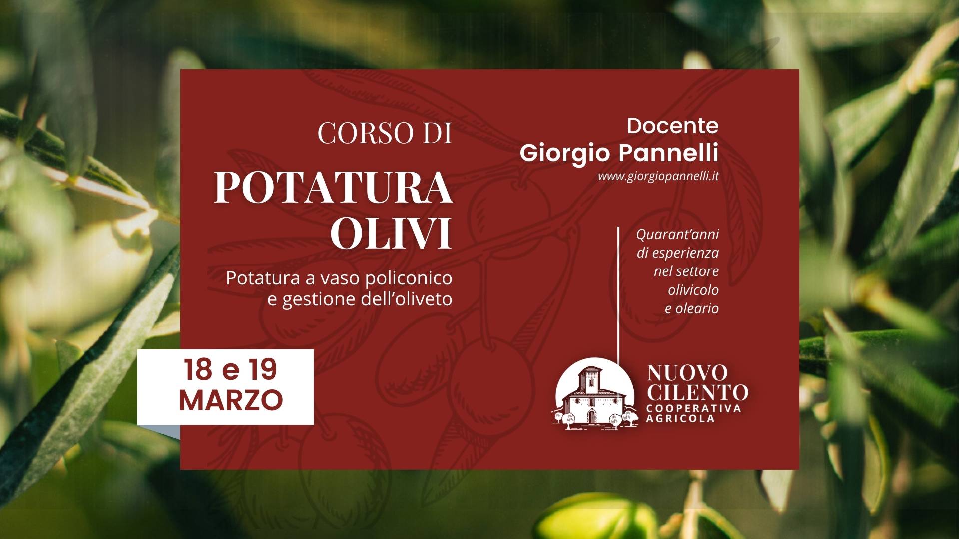corso potatura olivo 2024