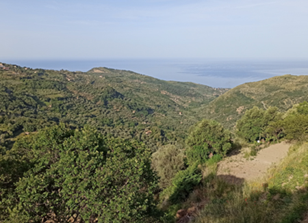 cosa sappiamo corridoi ecologici nuovo cilento