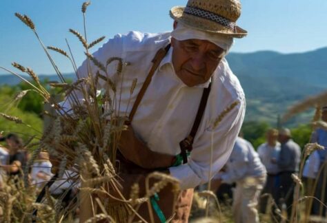 palio del grano 2024