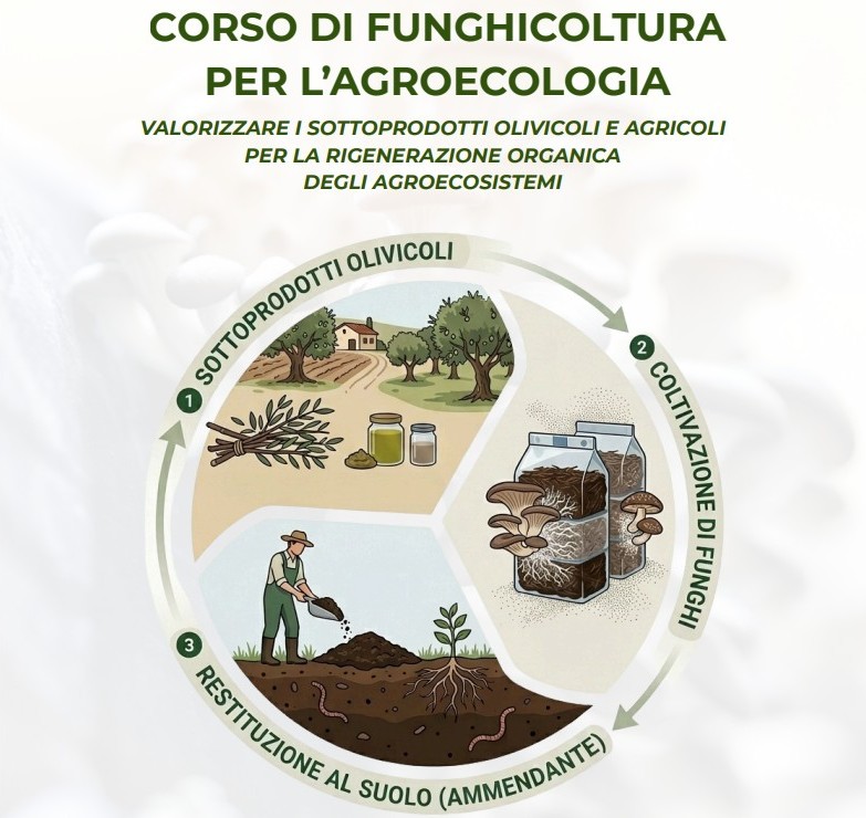 corso di funghicoltura per l'agroecologia